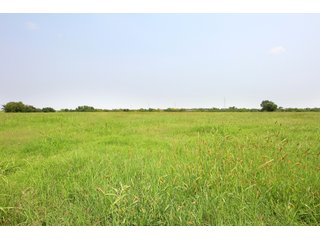 TRACT 4 - LAND AUCTION - 160+/- ACRES OFFERED IN 8 TRACTS IN DEER CREEK, OKLAHOMA